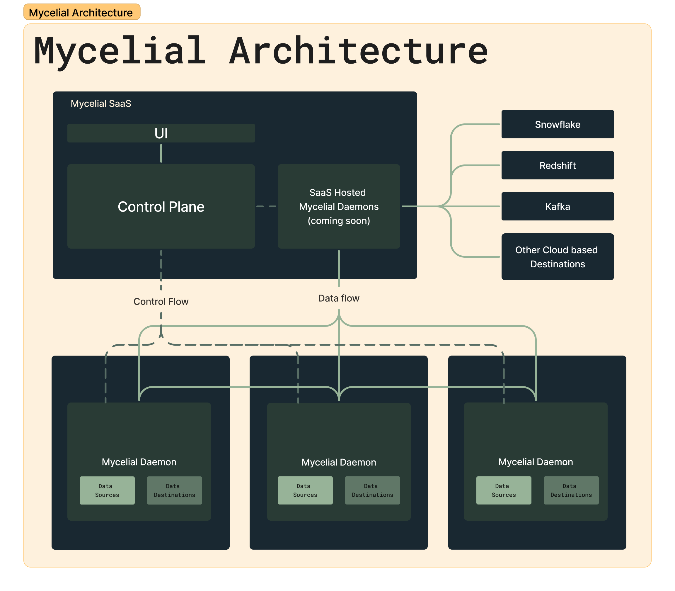 Mycelial Architecture